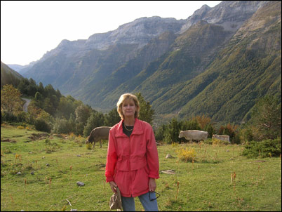 Pyrenees